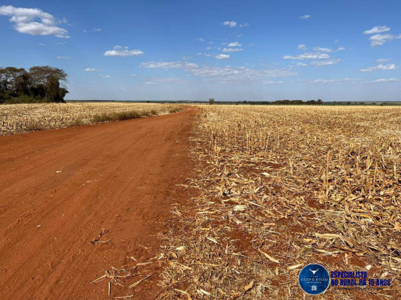 Imagem Fazenda à Venda, 52 m² em Zona Rural - Santa Helena De Goiás Imagem Fazenda à Venda, 52 m² em Zona Rural - Santa Helena De Goiás