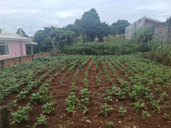 Imagem Terreno à Venda, em Primavera - Guarapuava Imagem Terreno à Venda, em Primavera - Guarapuava