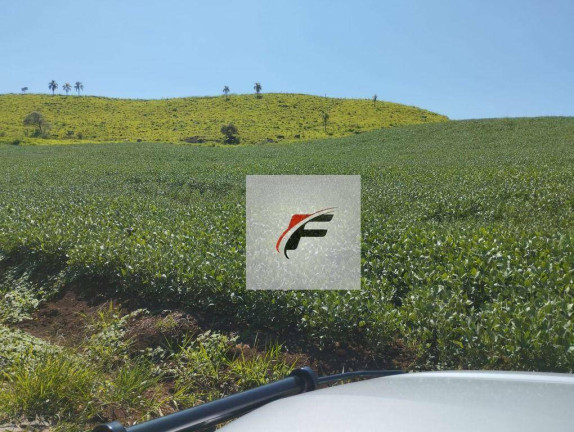 Imagem Fazenda à Venda, 471.900 m² em Zona Rural - Palmital Imagem Fazenda à Venda, 471.900 m² em Zona Rural - Palmital