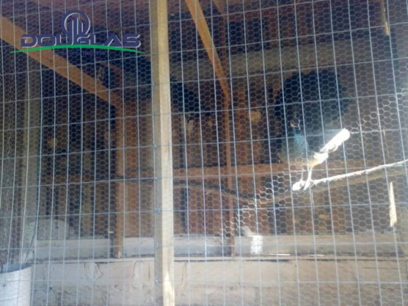 Imagem Chácara com 2 Quartos à Venda, 40 m² em Centro - Viamão