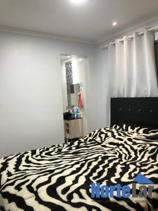 Imagem Apartamento com 2 Quartos à Venda, 54 m² em Parque São Luís - São Paulo Imagem Apartamento com 2 Quartos à Venda, 54 m² em Parque São Luís - São Paulo