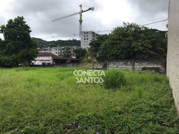 Imagem Terreno para Alugar, 1.008 m² em Jabaquara - Santos Imagem Terreno para Alugar, 1.008 m² em Jabaquara - Santos
