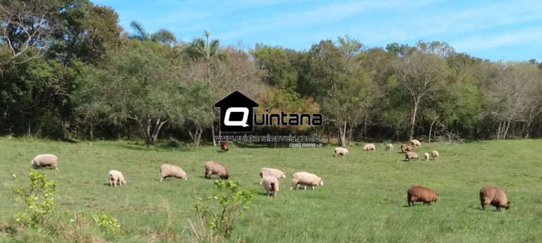 Imagem Imóvel com 1 Quarto à Venda, 90.000 m² em Fragata - Pelotas Imagem Imóvel com 1 Quarto à Venda, 90.000 m² em Fragata - Pelotas