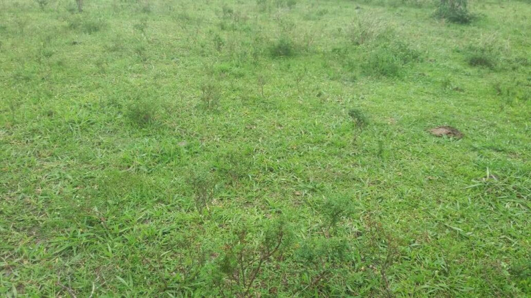 Imagem Chácara à Venda, 14 m² em Centro - Caravelas Imagem Chácara à Venda, 14 m² em Centro - Caravelas