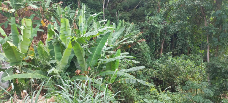 Imagem Terreno à Venda, 456 m² em São Francisco Da Praia - São Sebastião Imagem Terreno à Venda, 456 m² em São Francisco Da Praia - São Sebastião