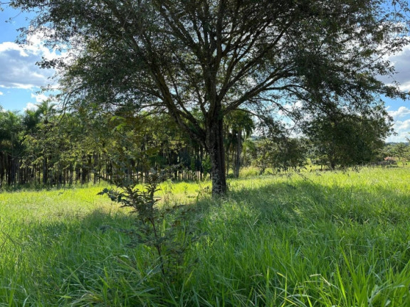Imagem Chácara à Venda, 2 m² em Jardim Barcelona - Bela Vista De Goiás Imagem Chácara à Venda, 2 m² em Jardim Barcelona - Bela Vista De Goiás