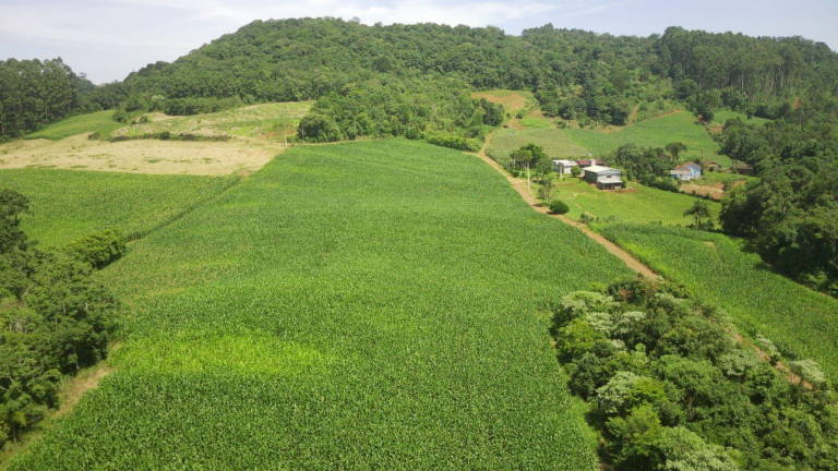 Imagem Terreno à Venda, 90.000 m² em Rural - Concórdia Imagem Terreno à Venda, 90.000 m² em Rural - Concórdia
