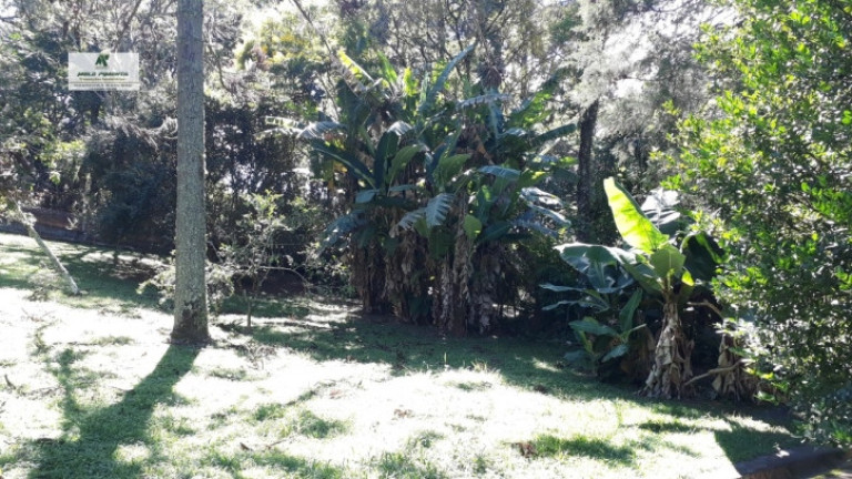 Imagem Chácara à Venda, 2.000 m² em Alto Da Serra - São Roque Imagem Chácara à Venda, 2.000 m² em Alto Da Serra - São Roque