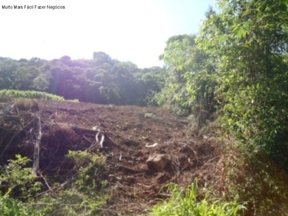 Imagem Terreno à Venda, 7 m² em Linha Imperial - Nova Petrópolis Imagem Terreno à Venda, 7 m² em Linha Imperial - Nova Petrópolis