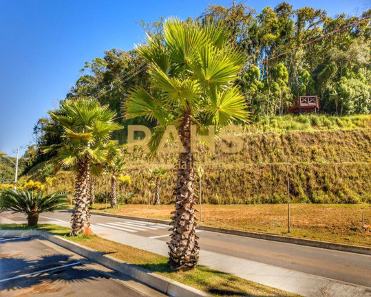 Imagem Terreno à Venda, 296 m² em Itinga - Araquari