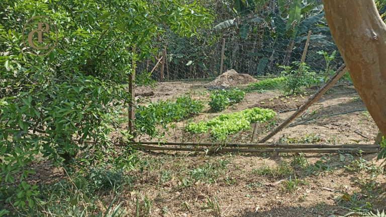 Imagem Chácara com 4 Quartos à Venda, 800 m² em Cedro - Paraibuna