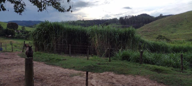 Imagem Chácara com 2 Quartos à Venda, 120 m² em Paiol Grande - Redenção Da Serra Imagem Chácara com 2 Quartos à Venda, 120 m² em Paiol Grande - Redenção Da Serra