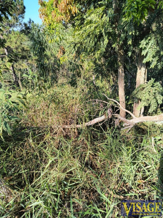 Imagem Terreno à Venda,  em Chácaras Reunidas Igarapés - Jacareí