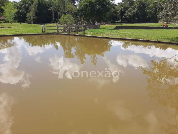 Imagem Chácara com 2 Quartos à Venda, 500 m² em Centro - Paraibuna Imagem Chácara com 2 Quartos à Venda, 500 m² em Centro - Paraibuna