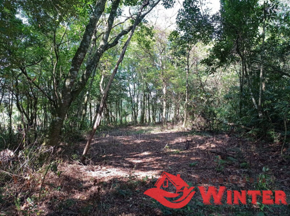 Imagem Chácara à Venda, 28 m² em Morro Gaúcho - Vale Real Imagem Chácara à Venda, 28 m² em Morro Gaúcho - Vale Real