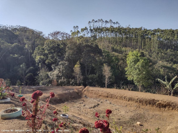 Imagem Chácara com 3 Quartos à Venda, 170 m² em Pocinhos Do Rio Verde - Caldas Imagem Chácara com 3 Quartos à Venda, 170 m² em Pocinhos Do Rio Verde - Caldas