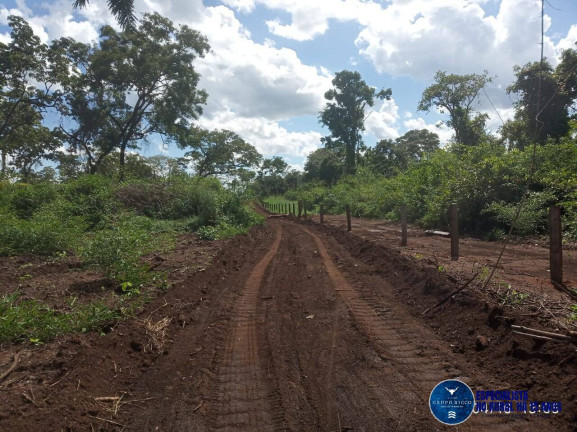 Imagem Fazenda à Venda, 195 m² em Zona Rural - Ribeirão Cascalheira Imagem Fazenda à Venda, 195 m² em Zona Rural - Ribeirão Cascalheira