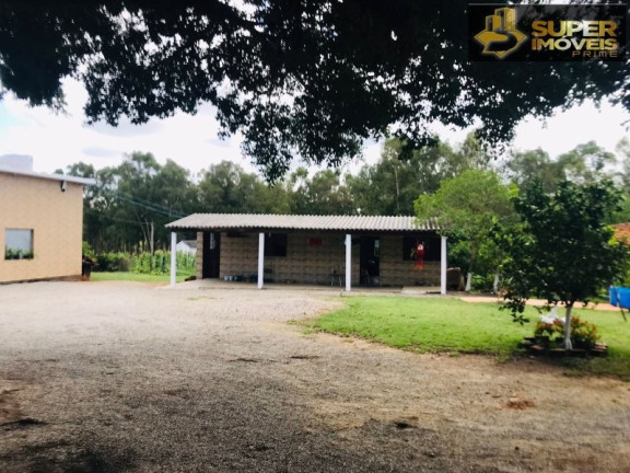 Imagem Imóvel com 7 Quartos à Venda, 120.000 m² em Monte Bonito - Pelotas Imagem Imóvel com 7 Quartos à Venda, 120.000 m² em Monte Bonito - Pelotas