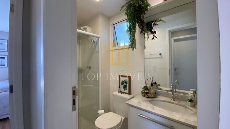 Imagem Apartamento com 2 Quartos à Venda, 60 m² em Parque Industrial - São José Dos Campos Imagem Apartamento com 2 Quartos à Venda, 60 m² em Parque Industrial - São José Dos Campos