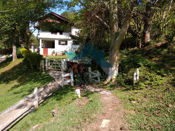 Imagem Chácara com 4 Quartos à Venda, 30.000 m² em Santa Isabel Imagem Chácara com 4 Quartos à Venda, 30.000 m² em Santa Isabel