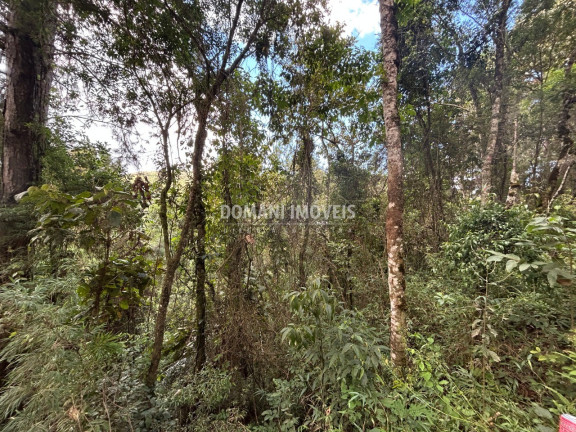 Imagem Terreno à Venda, 5.820 m² em Região Do Parque Da água Santa - Campos Do Jordão Imagem Terreno à Venda, 5.820 m² em Região Do Parque Da água Santa - Campos Do Jordão