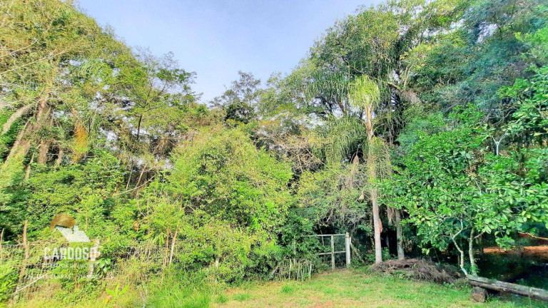 Imagem Fazenda à Venda, 6.000 m² em águas Claras - Viamão Imagem Fazenda à Venda, 6.000 m² em águas Claras - Viamão