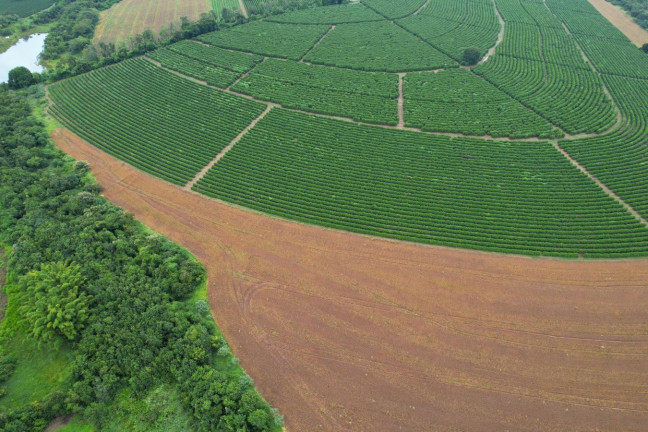 Imagem Fazenda à Venda, 48 m² em Zona Rural - Piumhi Imagem Fazenda à Venda, 48 m² em Zona Rural - Piumhi