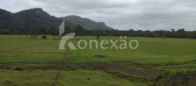 Imagem Fazenda à Venda, 90 m² em Braço Grande - Miracatu Imagem Fazenda à Venda, 90 m² em Braço Grande - Miracatu