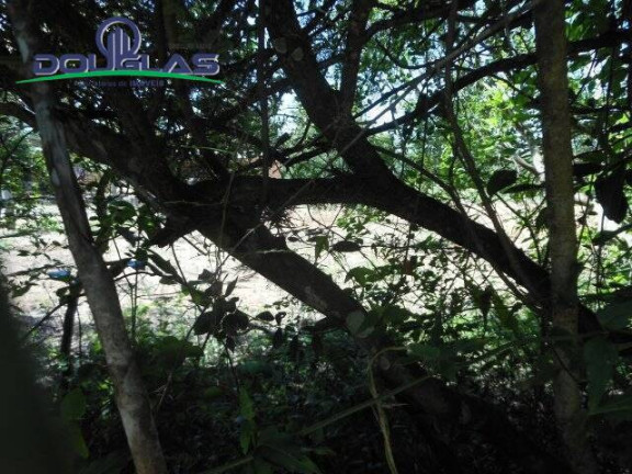 Imagem Terreno à Venda, 800 m² em Viamão