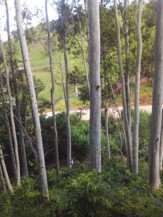 Imagem Chácara com 4 Quartos à Venda, 100 m² em Cedro Alto - São Luíz Do Paraitinga Imagem Chácara com 4 Quartos à Venda, 100 m² em Cedro Alto - São Luíz Do Paraitinga
