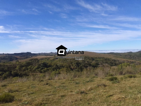 Imagem Imóvel à Venda, 410.000 m² em Centro - Santana Da Boa Vista Imagem Imóvel à Venda, 410.000 m² em Centro - Santana Da Boa Vista