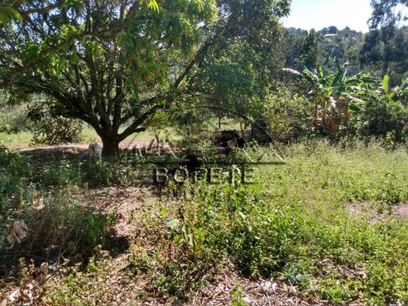 Imagem Imóvel com 1 Quarto à Venda, 21.696 m² em São Marcos - Bofete Imagem Imóvel com 1 Quarto à Venda, 21.696 m² em São Marcos - Bofete