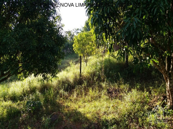 Imagem Terreno à Venda, 2.000 m² em Bela Fama - Nova Lima