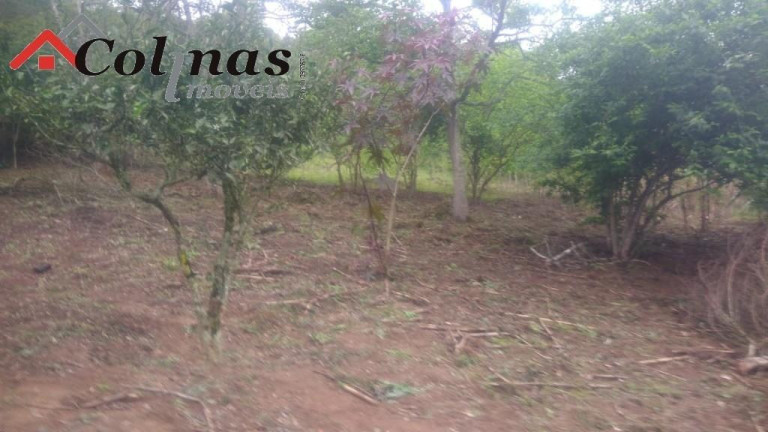 Imagem Imóvel com 3 Quartos à Venda, em Depois Do Centro - Ibiúna Imagem Imóvel com 3 Quartos à Venda, em Depois Do Centro - Ibiúna
