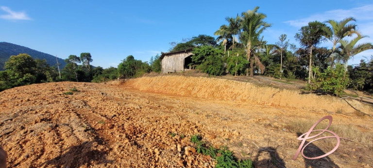 Imagem Imóvel com 2 Quartos à Venda, 40.000 m² em Ilhota - Ilhota