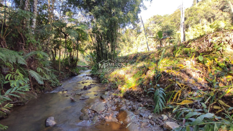Imagem Imóvel à Venda,  em Ribeirão Da Velha - Nova Trento