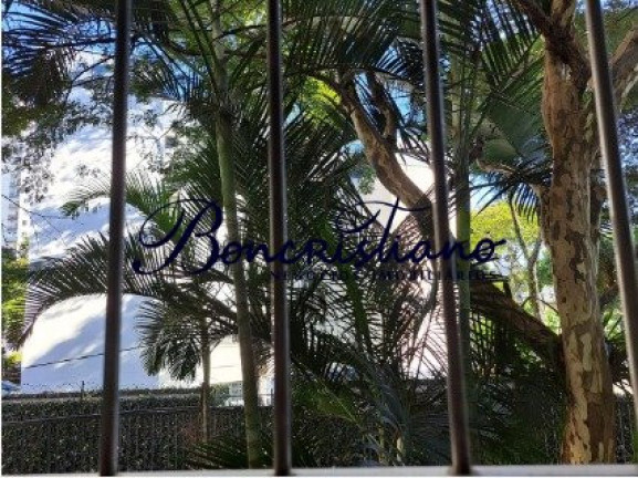 Imagem Apartamento com 2 Quartos à Venda, em Vila Amélia - Sao Paulo Imagem Apartamento com 2 Quartos à Venda, em Vila Amélia - Sao Paulo