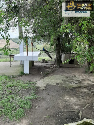 Imagem Imóvel com 6 Quartos à Venda, 125.000 m² em Centro - Morro Redondo