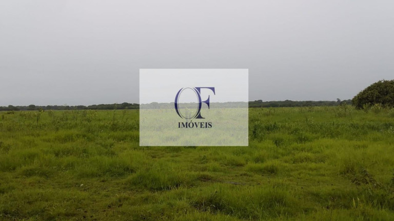 Imagem Fazenda à Venda, 24.000 m² em Pantanal - Corumbá