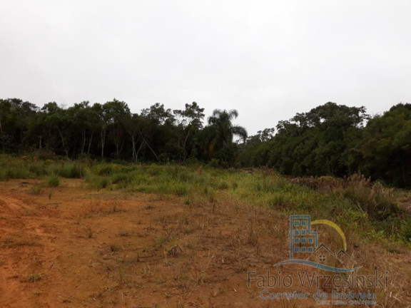 Imagem Terreno à Venda, 15.042 m² em Itinga - Araquari Imagem Terreno à Venda, 15.042 m² em Itinga - Araquari