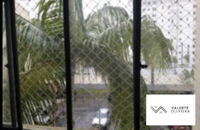 Imagem Apartamento com 2 Quartos à Venda, 52 m² em Palmeiras De São José - São José Dos Campos Imagem Apartamento com 2 Quartos à Venda, 52 m² em Palmeiras De São José - São José Dos Campos