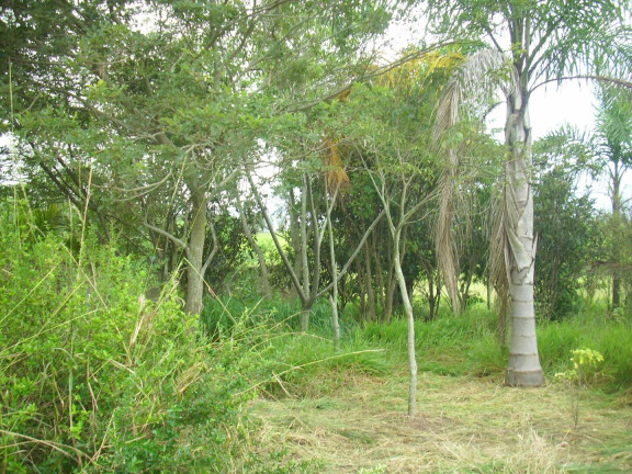 Imagem Chácara com 1 Quarto à Venda, 1.000 m² em Estância Irene - Porangaba Imagem Chácara com 1 Quarto à Venda, 1.000 m² em Estância Irene - Porangaba