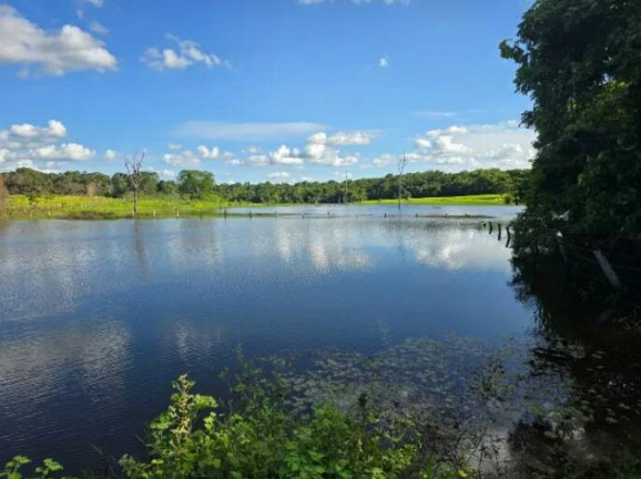 Imagem Fazenda à Venda, 11 m² em Ponte Rio Palmeiral - Mundo Novo Imagem Fazenda à Venda, 11 m² em Ponte Rio Palmeiral - Mundo Novo