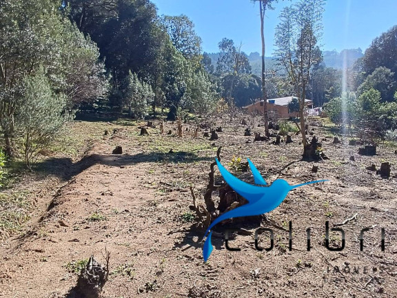 Imagem Chácara com 2 Quartos à Venda, 6.000 m² em Palmital - Agudos Do Sul Imagem Chácara com 2 Quartos à Venda, 6.000 m² em Palmital - Agudos Do Sul