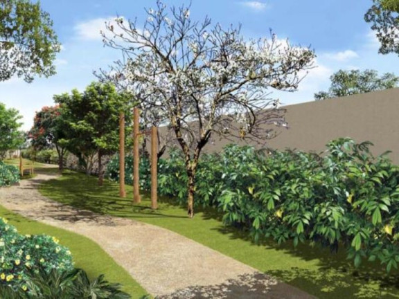 Imagem Imóvel com 4 Quartos à Venda, 177 m² em Campestre - Santo André Imagem Imóvel com 4 Quartos à Venda, 177 m² em Campestre - Santo André