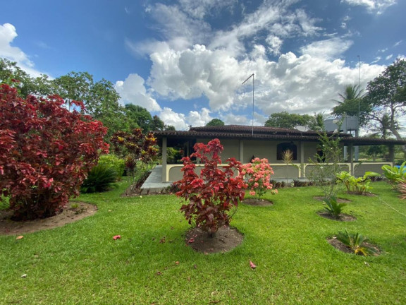 Imagem Imóvel com 4 Quartos à Venda, 30.500 m² em Cachoeira - Salvador