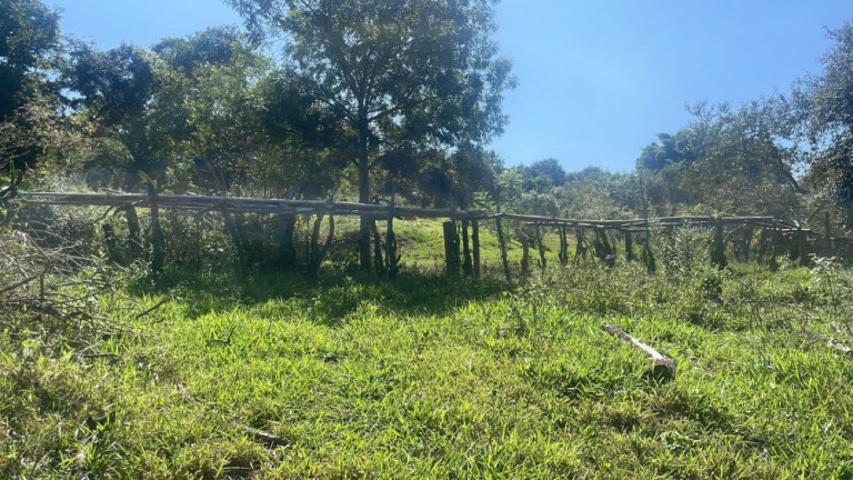 Imagem Imóvel com 3 Quartos à Venda, 200 m² em Rio Verde - Bauru Imagem Imóvel com 3 Quartos à Venda, 200 m² em Rio Verde - Bauru