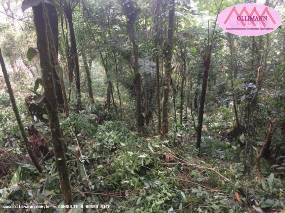 Imagem Terreno à Venda, 1.695 m² em Chácara Carreiras - Santo André