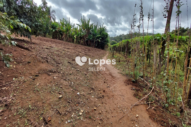 Imagem Imóvel com 1 Quarto à Venda, 43.000 m² em Parque Eldorado - Campinas Imagem Imóvel com 1 Quarto à Venda, 43.000 m² em Parque Eldorado - Campinas