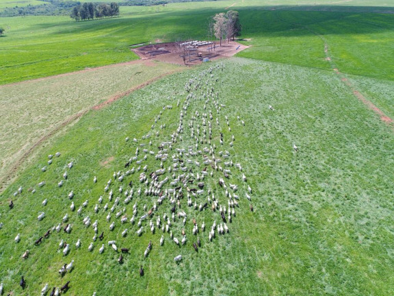 Imagem Fazenda à Venda, 632 m² em Rural - Echaporã